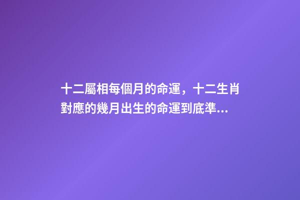 十二屬相每個月的命運，十二生肖對應的幾月出生的命運到底準不準？ 屬兔人出生月的命運屬兔每個月出生詳解-第1張-觀點-玄機派